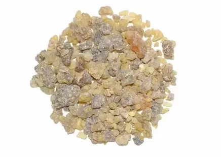 Extracto de Boswellia serrata