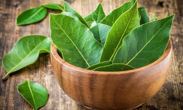 Hojas de laurel para preparar una decocción para aliviar la hinchazón de la rodilla debido a la artrosis.