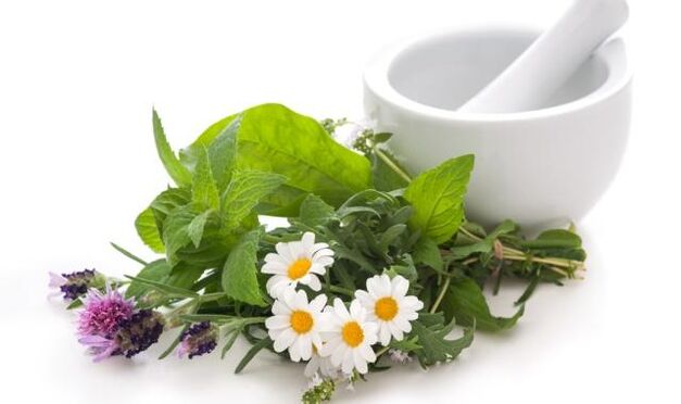 Las plantas medicinales son la base de los remedios para los efectos externos en la articulación de la rodilla afectada por artrosis.